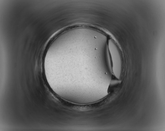 X0000086060791200704132017