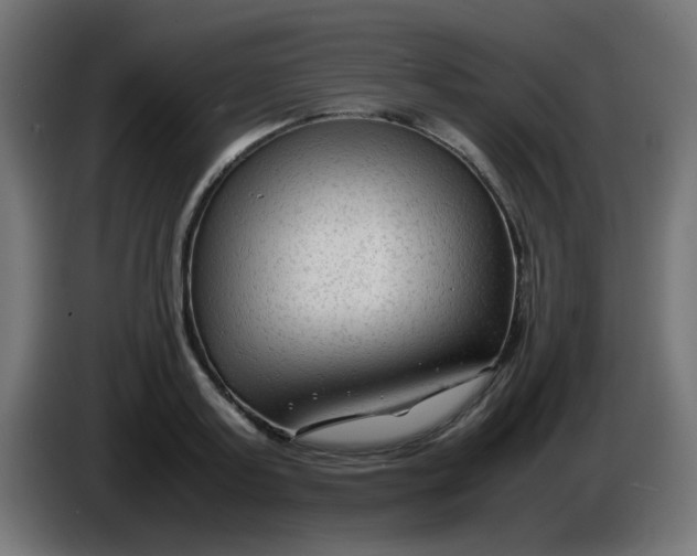 X0000086060795200704132017