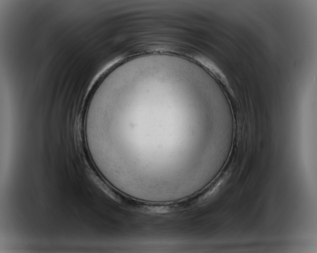 X0000086060798200704132017