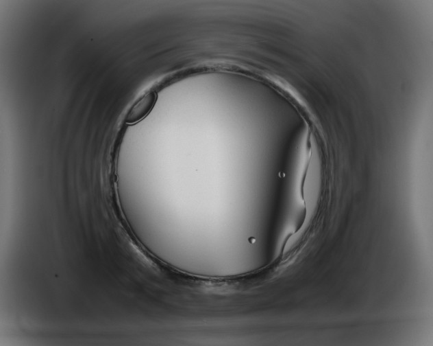 X0000086060799200704132017