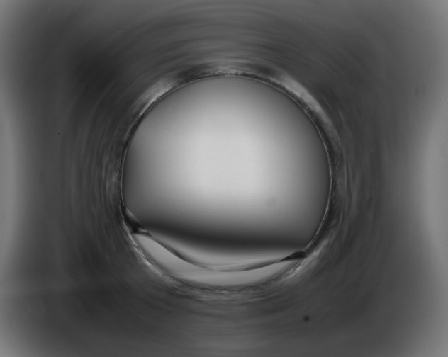 X0000086060801200704132017