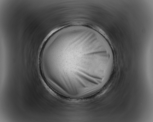 X0000086060803200704132017