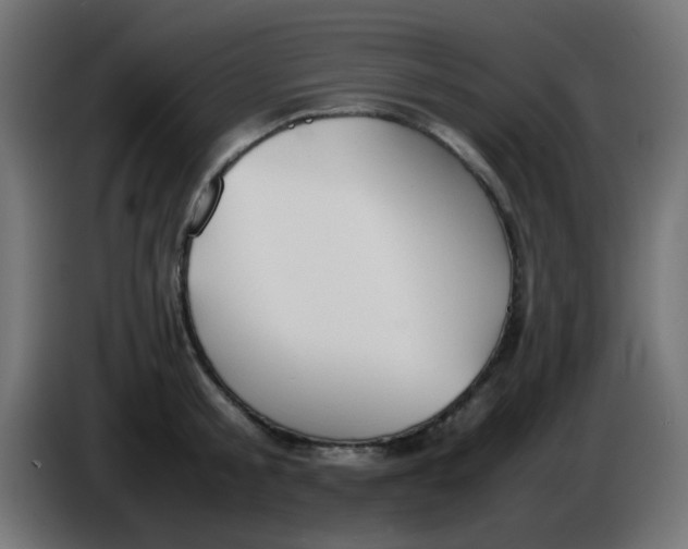 X0000086060805200704132017