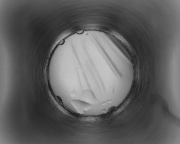 X0000086060806200704132017