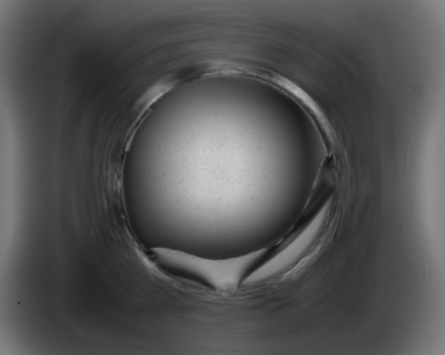 X0000086060809200704132017