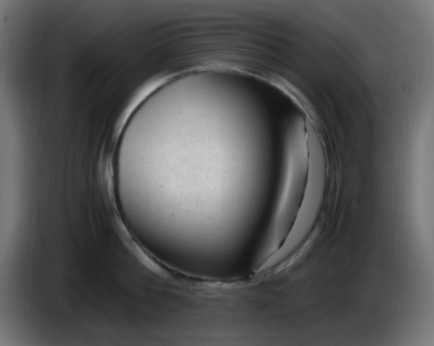 X0000086060812200704132016