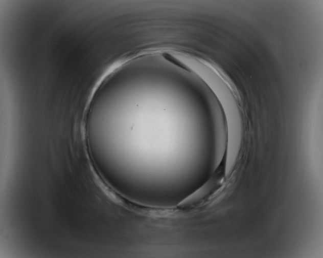 X0000086060813200704132016