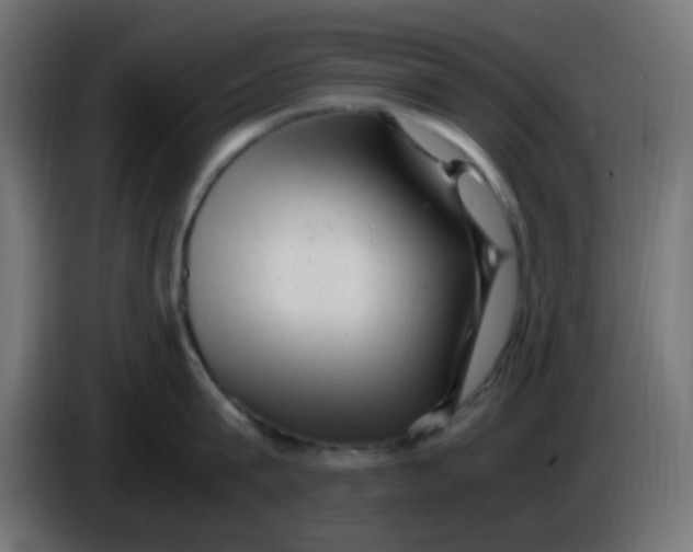 X0000086060815200704132016