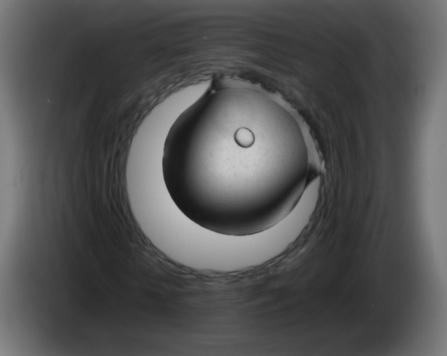 X0000086060818200704132016