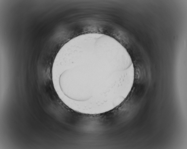 X0000086060820200704132016