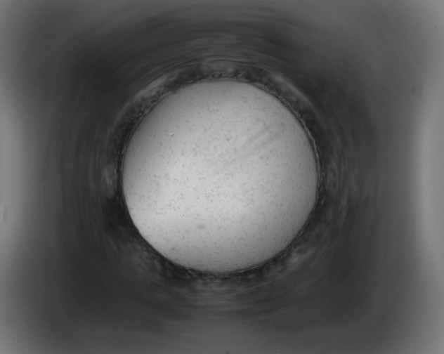 X0000086060821200704132016