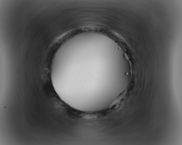 X0000086060822200704132016