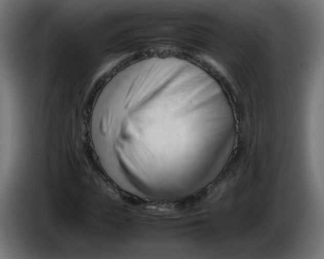 X0000086060823200704132016