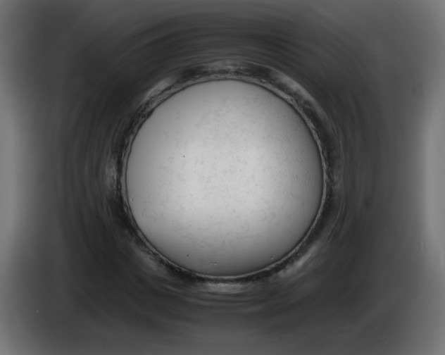 X0000086060825200704132016