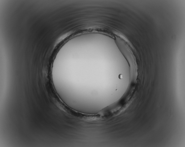 X0000086060826200704132016