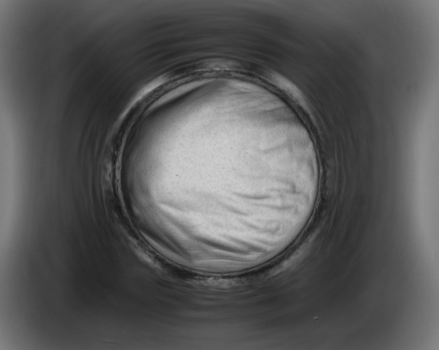 X0000086060827200704132016