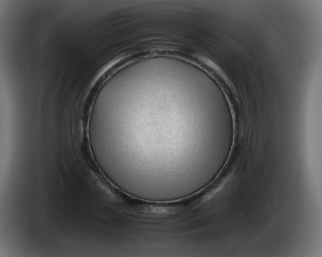 X0000086060829200704132016