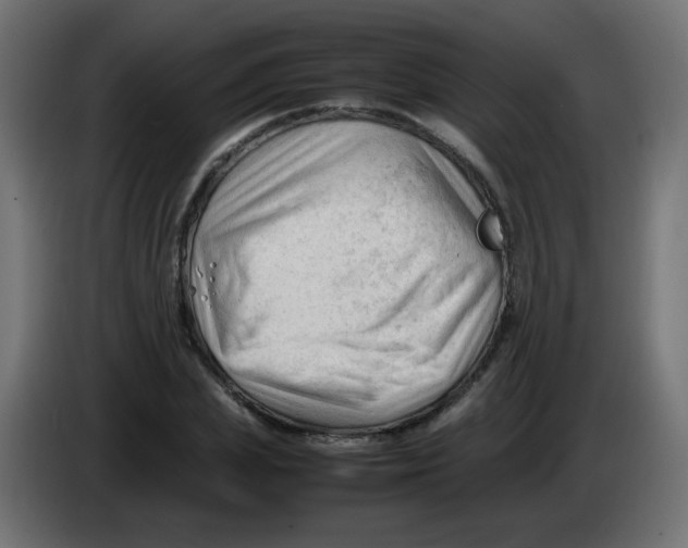 X0000086060831200704132016