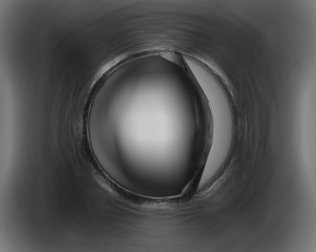 X0000086060834200704132016