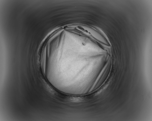 X0000086060835200704132016