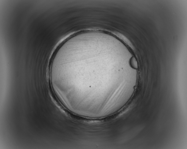 X0000086060839200704132016