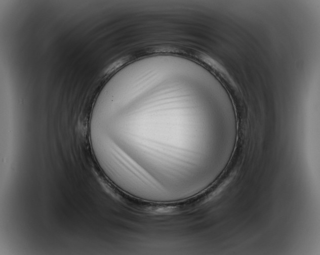 X0000086060841200704132016