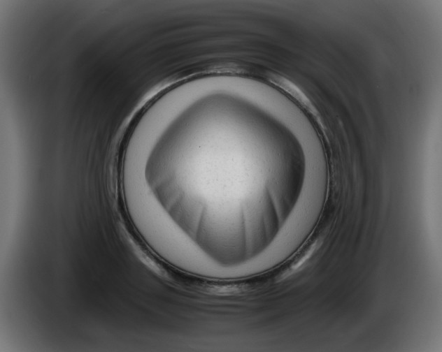 X0000086060843200704132016