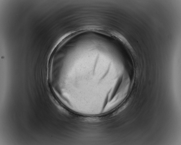 X0000086060844200704132016