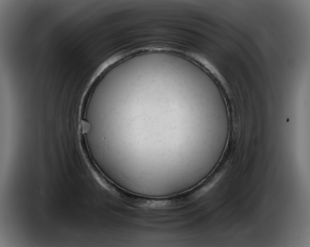 X0000086060845200704132016