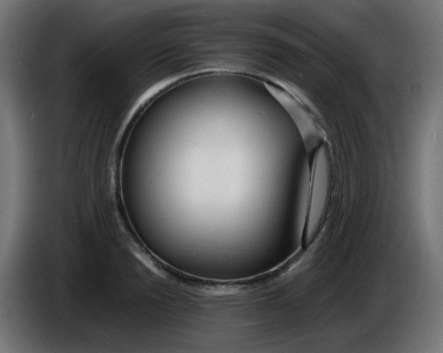 X0000086060846200704132016