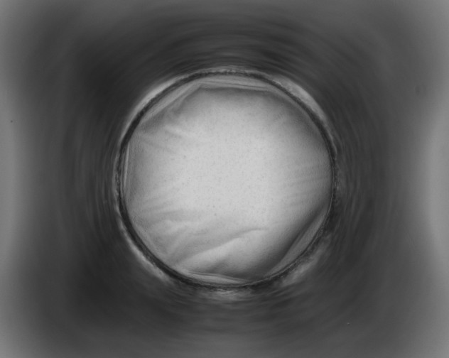 X0000086060847200704132016