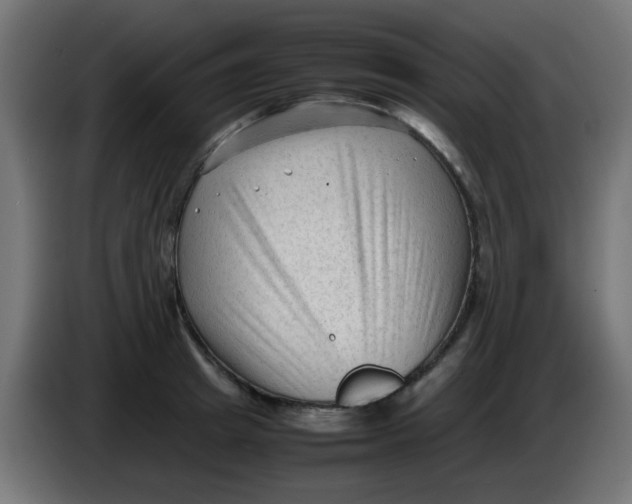 X0000086060849200704132016