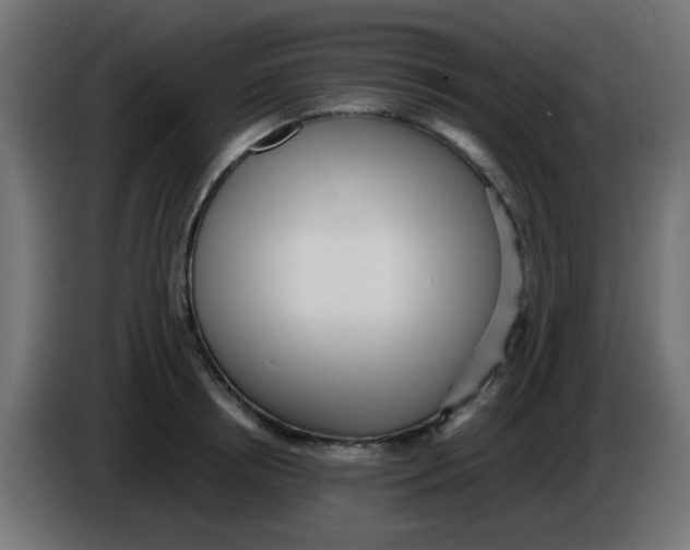 X0000086060850200704132016