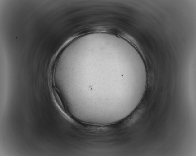 X0000086060851200704132016