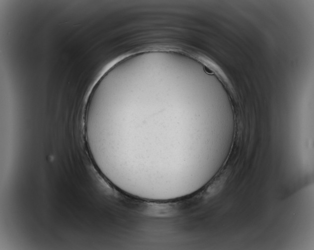 X0000086060852200704132016