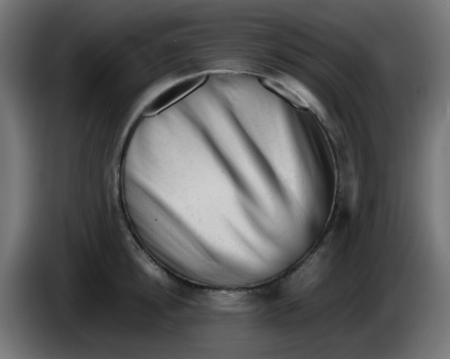 X0000086060854200704132016