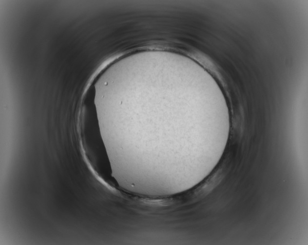 X0000086060855200704132016