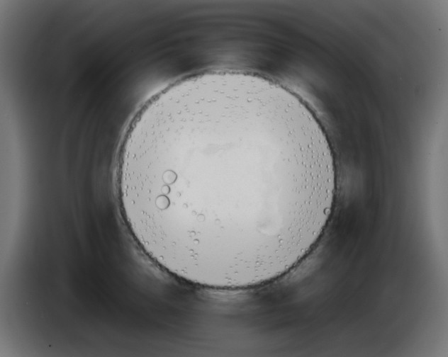 X0000086060856200704132016