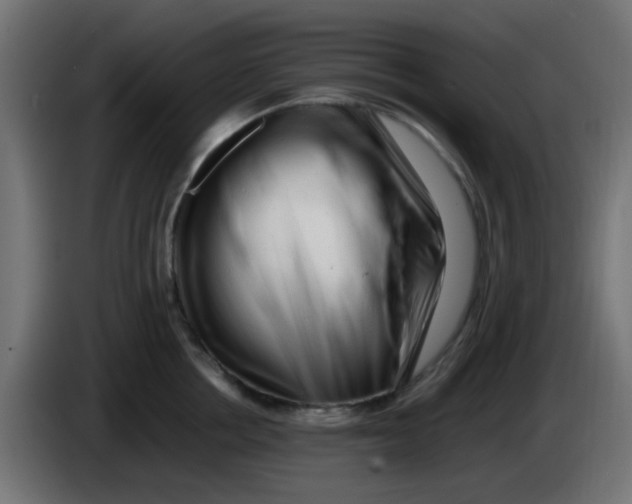 X0000086060858200704132016