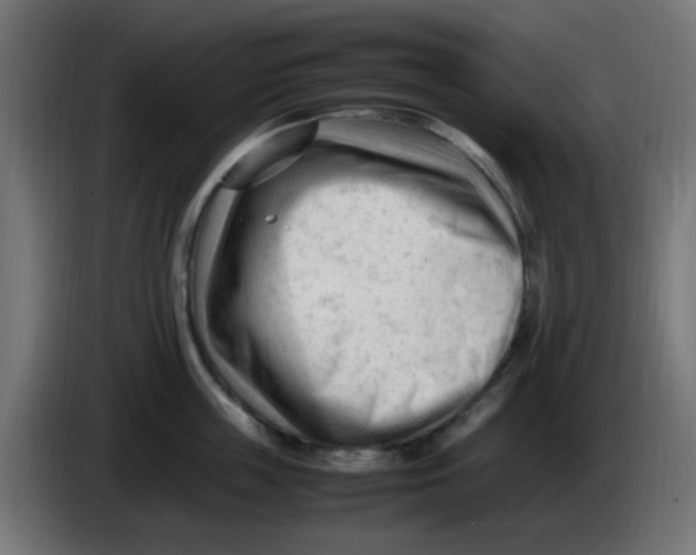 X0000086060859200704132016