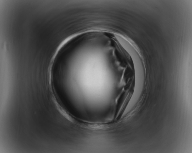 X0000086060862200704132016