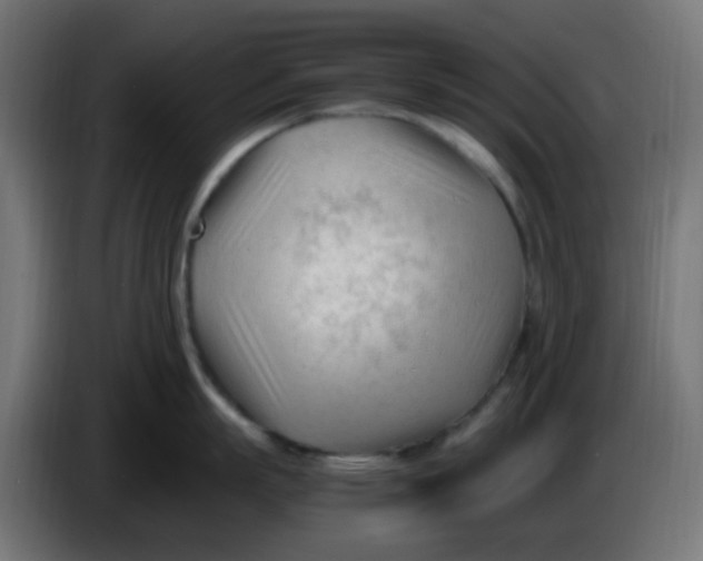 X0000086060863200704132016