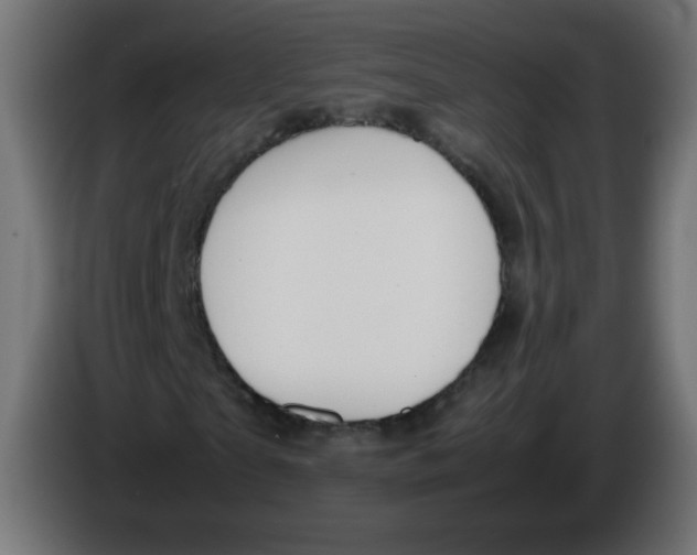 X0000086060865200704132016