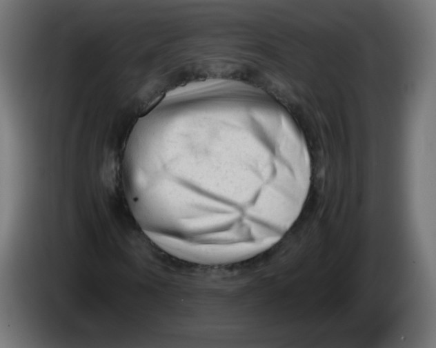 X0000086060866200704132016