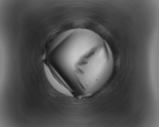 X0000086060868200704132016