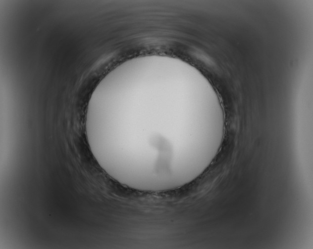 X0000086060869200704132016