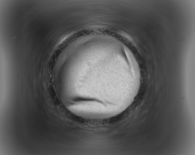 X0000086060871200704132016