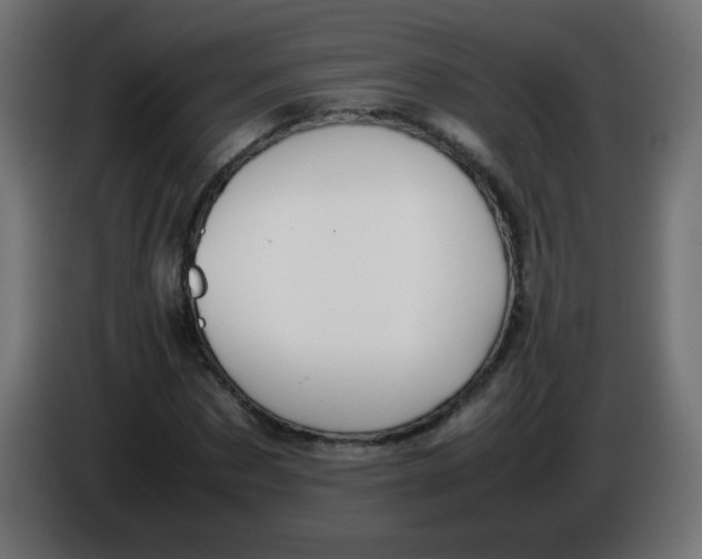 X0000086060873200704132016