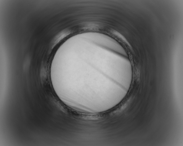 X0000086060874200704132016