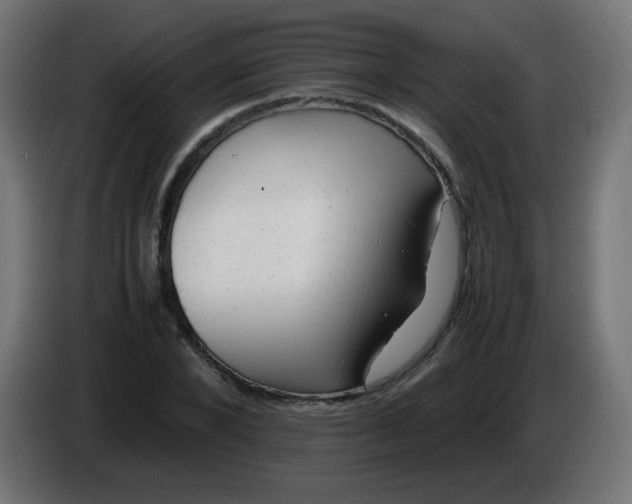 X0000086060880200704132016